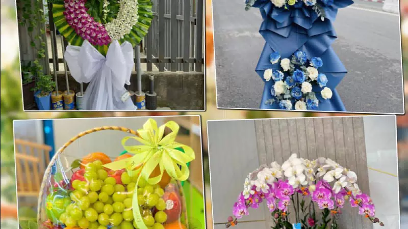 Shop Hoa Tươi Phường Hoa Lư - Tỉnh Ninh Bình