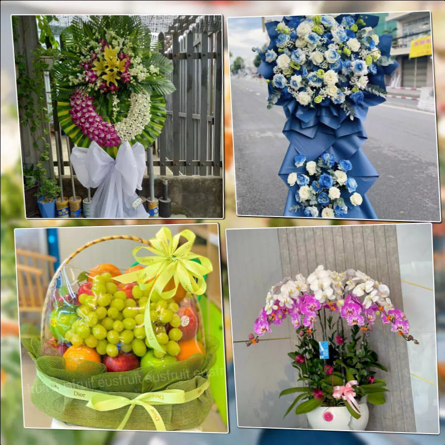 Shop Hoa Tươi Phường Hoa Lư - Tỉnh Ninh Bình