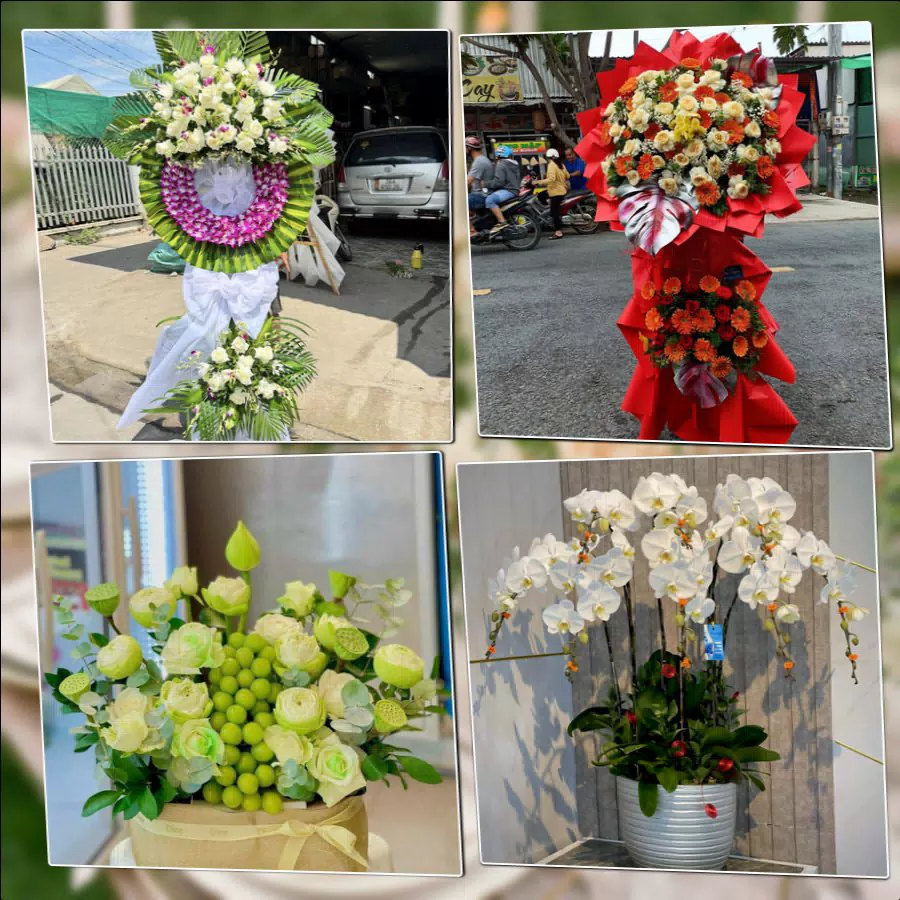 Shop Hoa Tươi Phường Hoa Lư - Tỉnh Ninh Bình