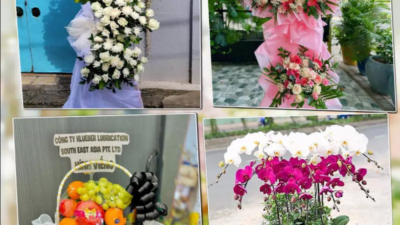 Shop Hoa Tươi Phường Chánh Hiệp - Thành phố Hồ Chí Minh