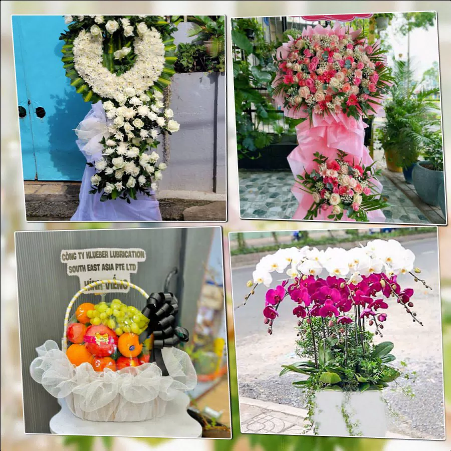 Shop Hoa Tươi Phường Chánh Hiệp - Thành phố Hồ Chí Minh