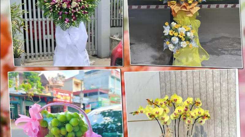 Shop Hoa Tươi Xã Tân Nhựt - Thành phố Hồ Chí Minh