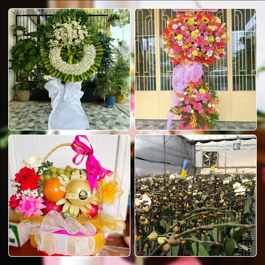 Mẫu hoa tươi ThuyHoaTuoi.Com giao tại Xã Tân Nhựt, TP.HCM