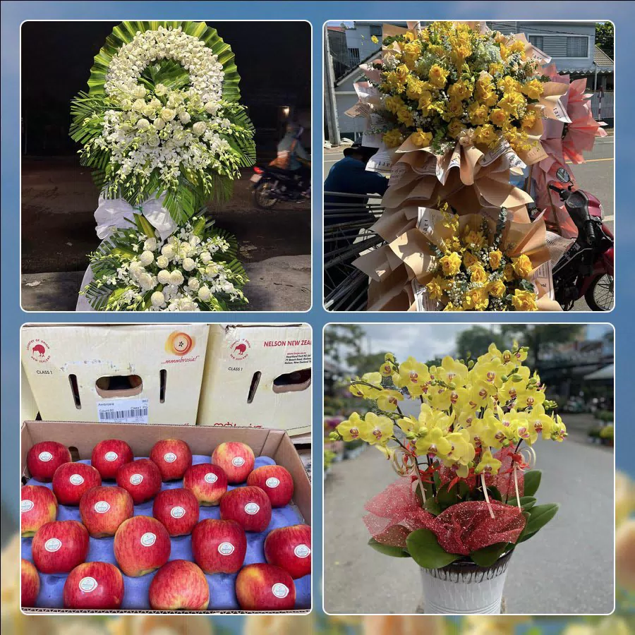 Shop Hoa Tươi Phường Bà Rịa - Thành phố Hồ Chí Minh
