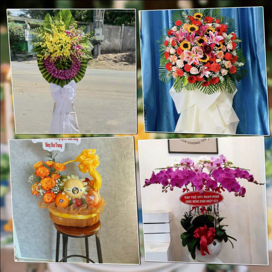 Shop Hoa Tươi Phường Tuy Hòa - Tỉnh Đắk Lắk