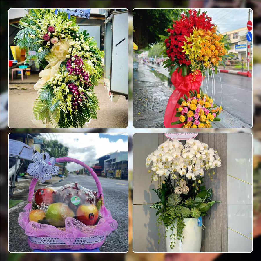 Mẫu hoa tươi ThuyHoaTuoi.Com giao tại Phường Tuy Hòa