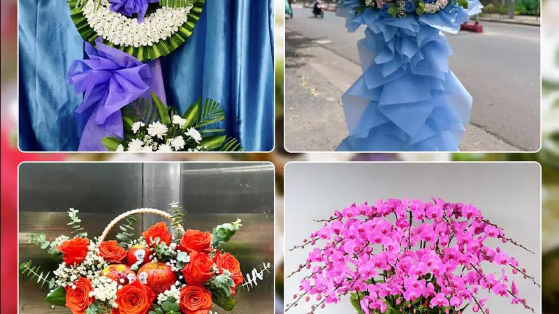 Shop Hoa Tươi Phường Thủy Nguyên - Thành phố Hải Phòng
