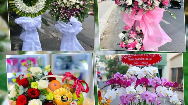 Shop Hoa Tươi Phường Sài Gòn - Thành phố Hồ Chí Minh