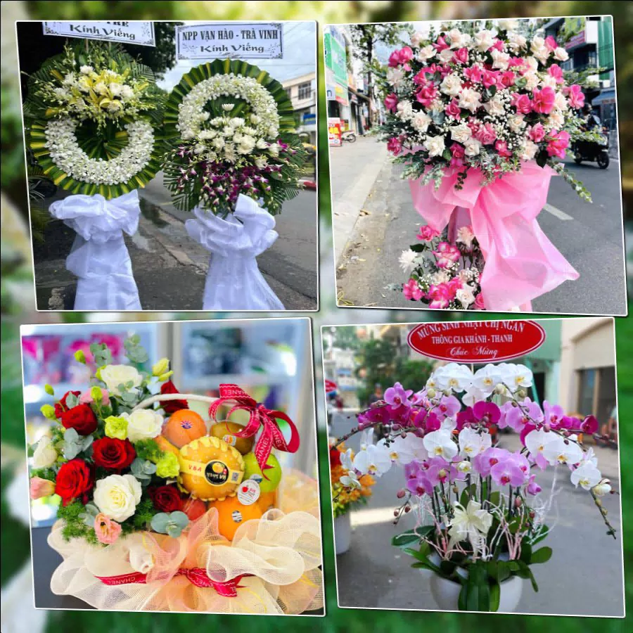 Shop Hoa Tươi Phường Sài Gòn - Thành phố Hồ Chí Minh