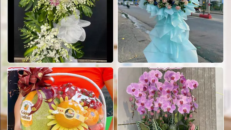 Shop Hoa Tươi Xã Củ Chi - Thành phố Hồ Chí Minh
