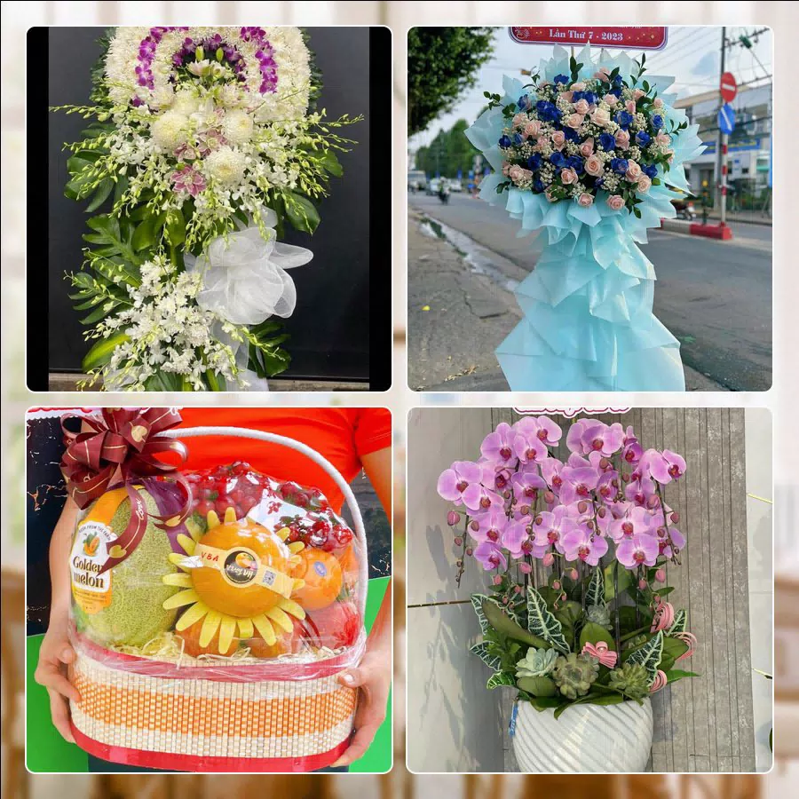 Shop Hoa Tươi Xã Củ Chi - Thành phố Hồ Chí Minh
