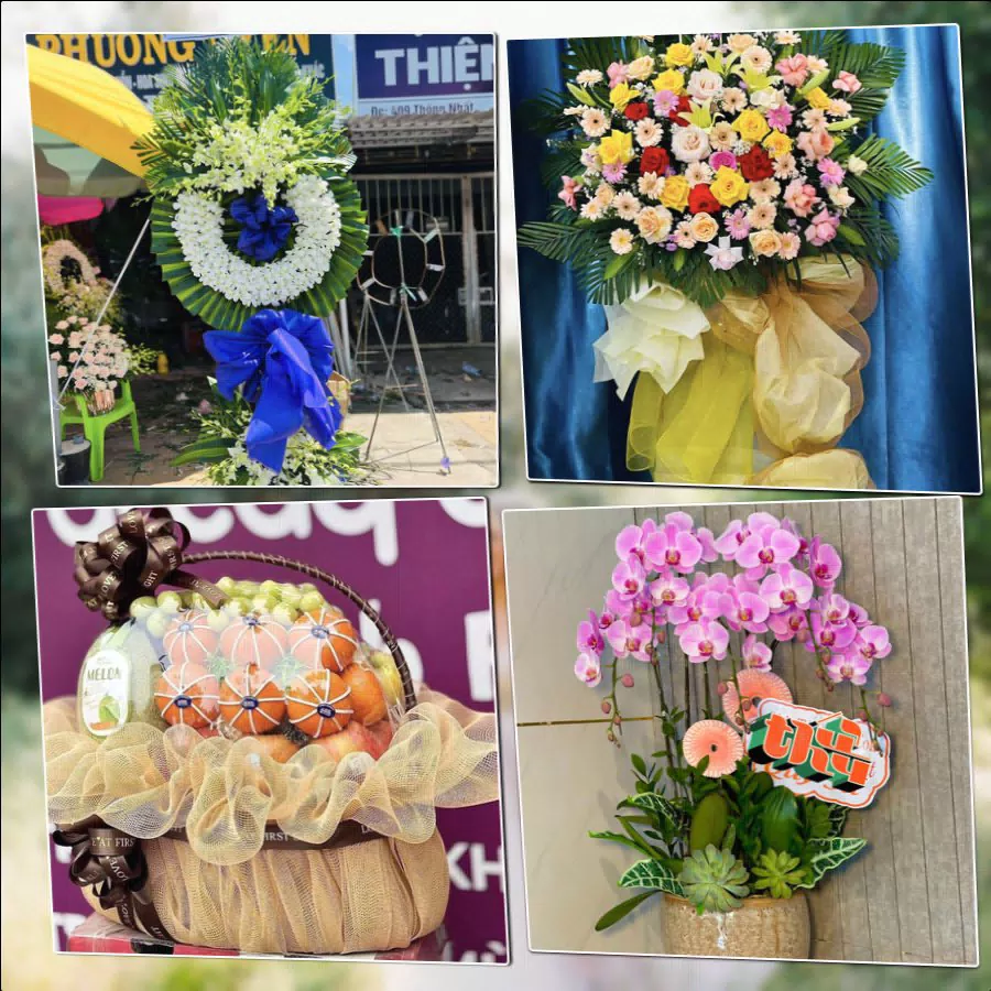 Chậu lan hồ điệp và mẫu hoa tươi tại shop hoa Xã Đông Anh