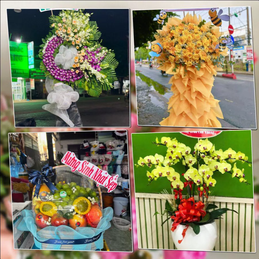 Shop Hoa Tươi Phường Việt Trì - Tỉnh Phú Thọ