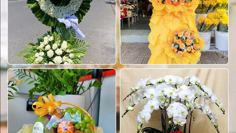 Shop Hoa Tươi Phường Vinh Phú - Tỉnh Nghệ An
