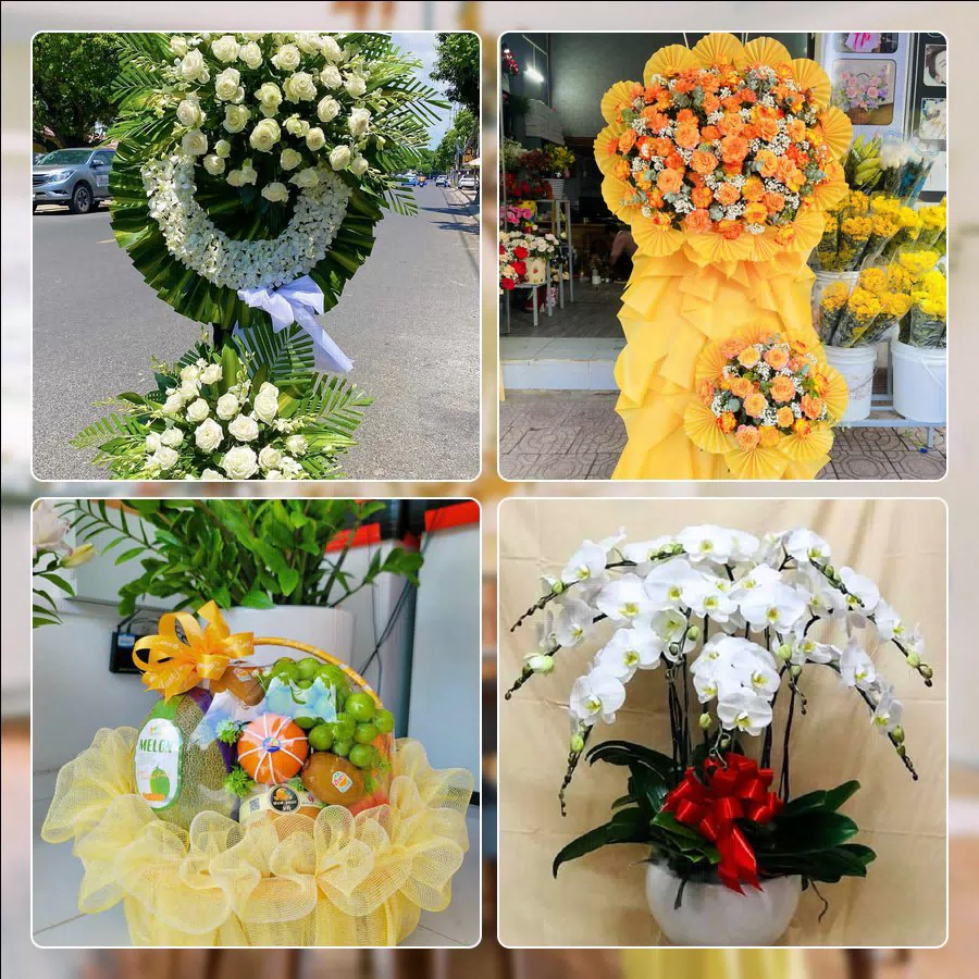 Shop Hoa Tươi Phường Vinh Phú - Tỉnh Nghệ An