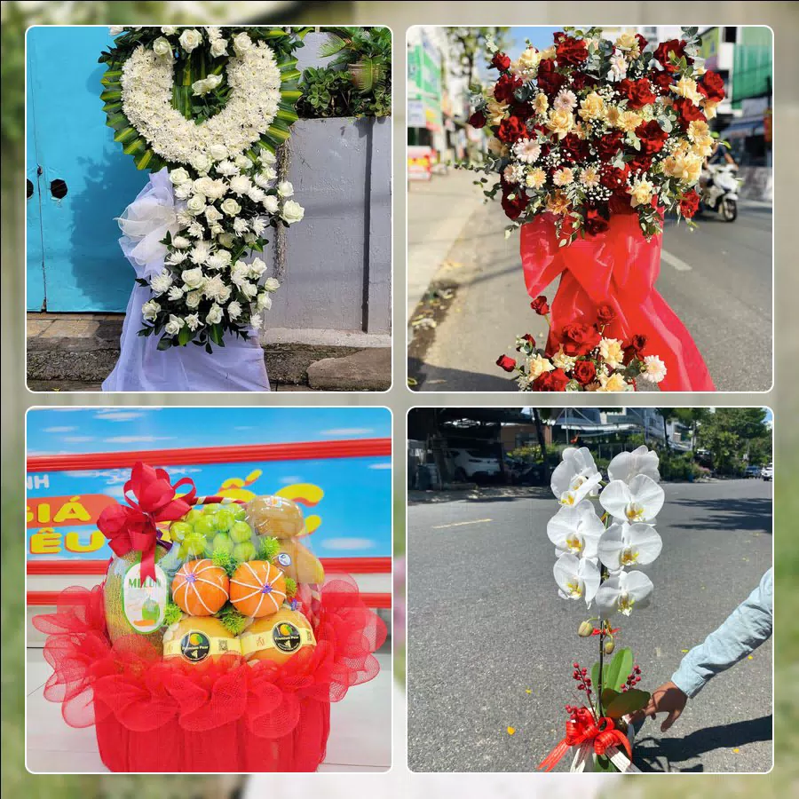 Chậu lan hồ điệp và hoa tươi tại shop hoa Phường Vinh Phú