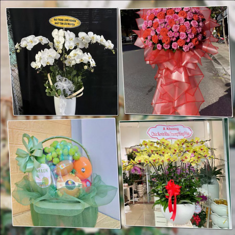 Lẵng hoa chúc mừng và mẫu hoa tươi tại shop hoa Xã Ô Diên