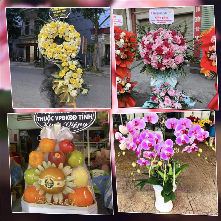 Kệ hoa khai trương và mẫu hoa tươi tại shop hoa Phường Phan Thiết