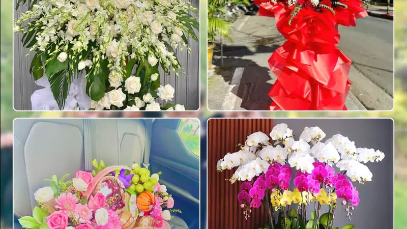 Shop Hoa Tươi Xã Bình Chánh - Thành phố Hồ Chí Minh