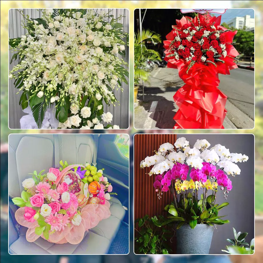 Shop Hoa Tươi Xã Bình Chánh - Thành phố Hồ Chí Minh