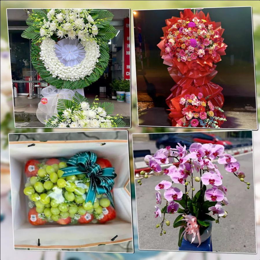 Mẫu hoa tươi đẹp giao tại Xã Phúc Thịnh, Hà Nội