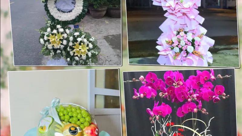 Shop Hoa Tươi Xã Bình Minh - Thành phố Hà Nội