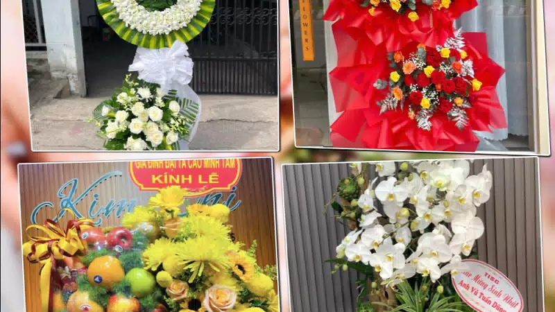 Shop Hoa Tươi Phường Quảng Phú - Tỉnh Thanh Hóa