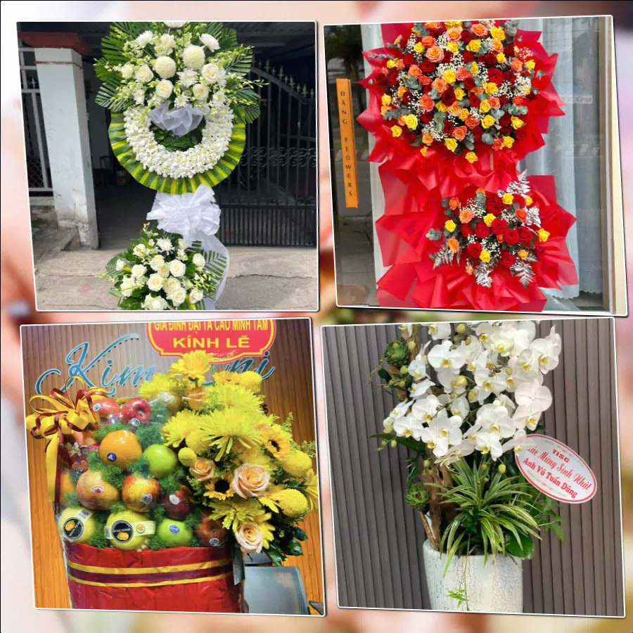 Shop Hoa Tươi Phường Quảng Phú - Tỉnh Thanh Hóa