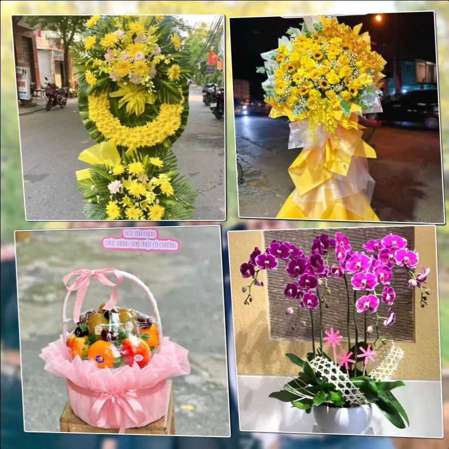 Hoa tươi ThuyHoaTuoi.Com giao tại Phường Quảng Phú, Thanh Hóa