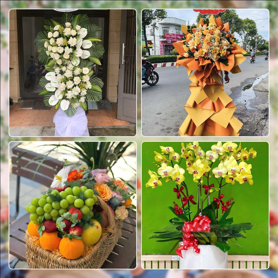 Chậu lan hồ điệp tại shop hoa tươi phường Thành Đông