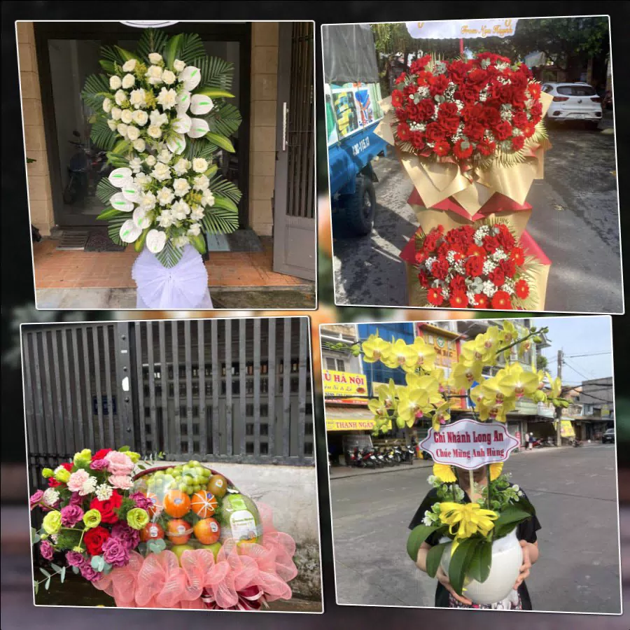 Shop Hoa Tươi Phường Bình Đức - Tỉnh An Giang