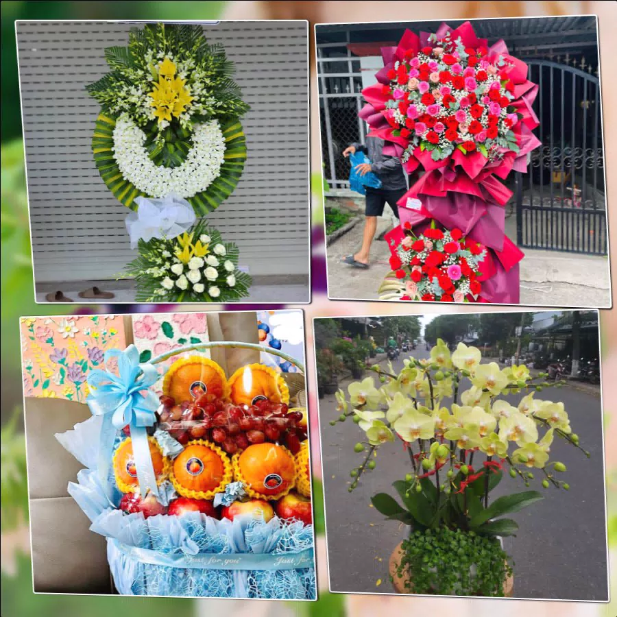 Hoa chúc mừng tươi tại shop hoa tươi phường Phủ Lý