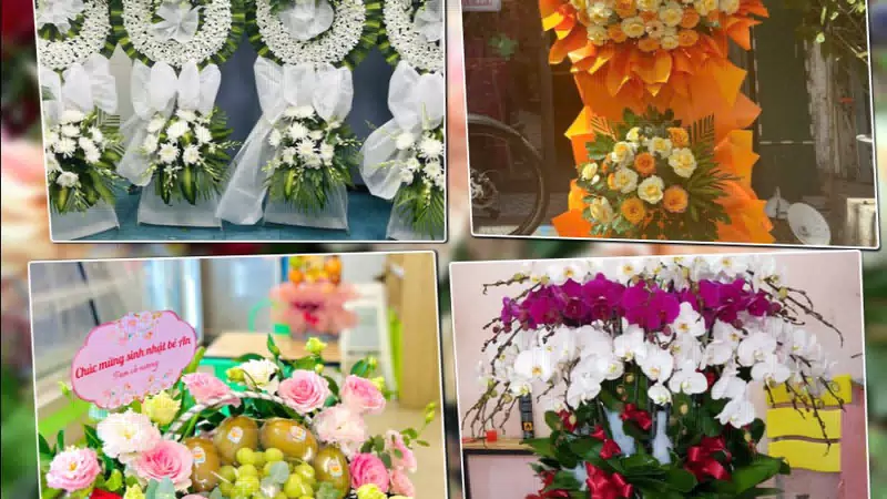 Shop Hoa Tươi Phường Phố Hiến - Tỉnh Hưng Yên