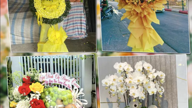 Shop Hoa Tươi Phường Thái Bình - Tỉnh Hưng Yên