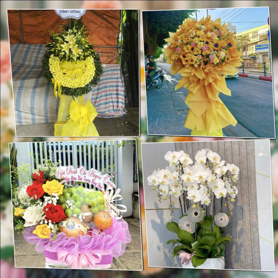 Shop Hoa Tươi Phường Thái Bình - Tỉnh Hưng Yên