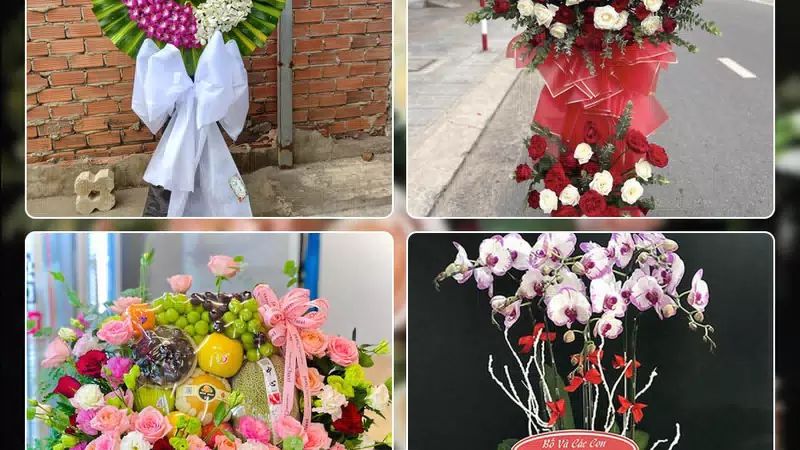 Shop Hoa Tươi Phường Hàm Rồng - Tỉnh Thanh Hóa