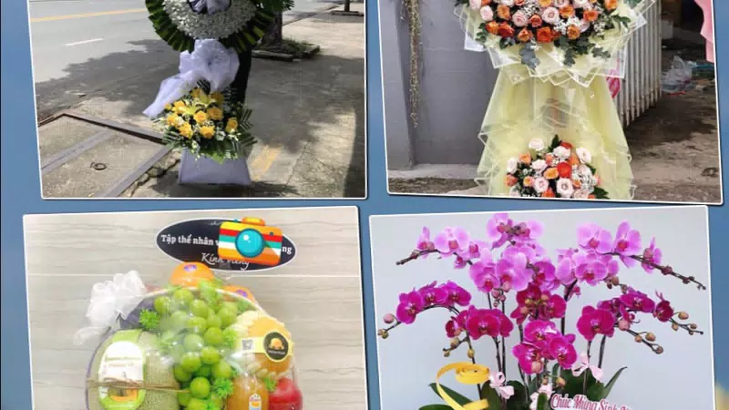 Shop Hoa Tươi Phường Phúc Yên - Tỉnh Phú Thọ