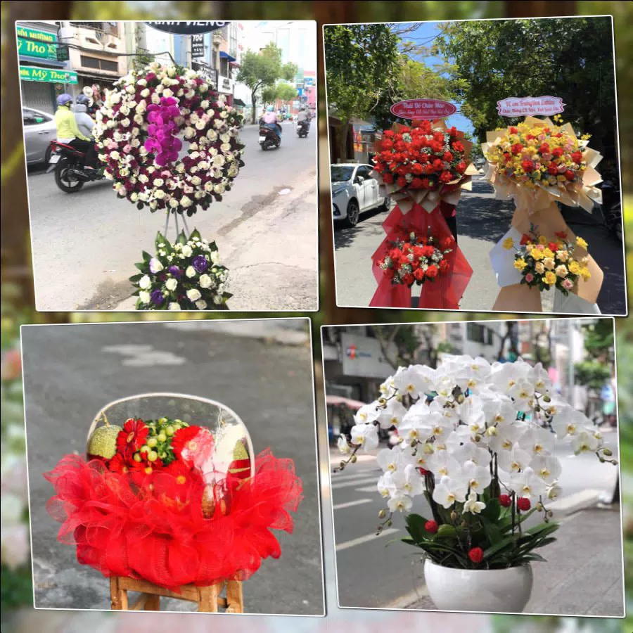 Shop Hoa Tươi Phường Trường Thi - Tỉnh Ninh Bình