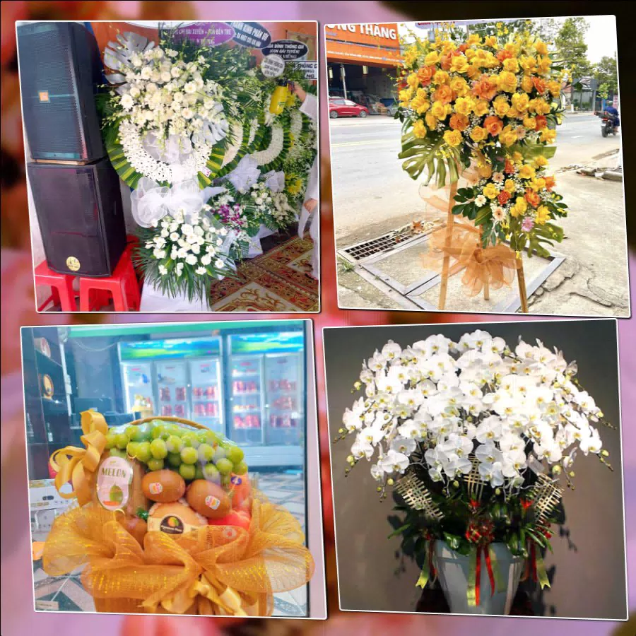 Mẫu hoa tươi ThuyHoaTuoi.Com giao tại Phường Trường Thi