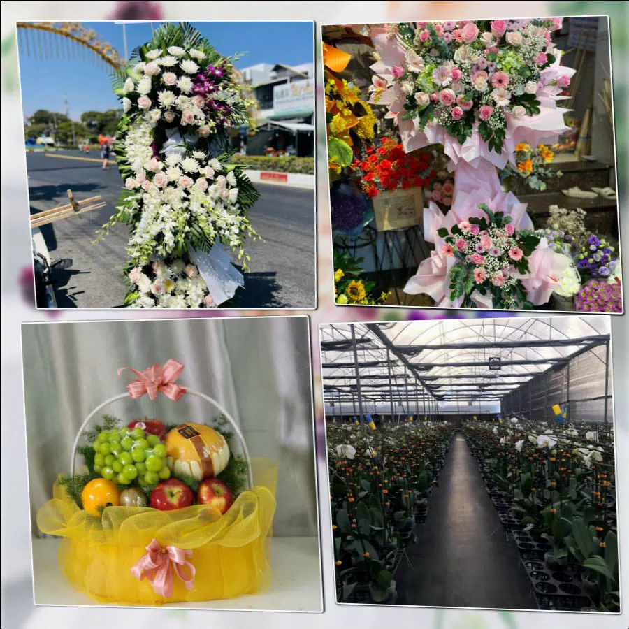 Shop Hoa Tươi Phường Nghĩa Lộ - Tỉnh Quảng Ngãi