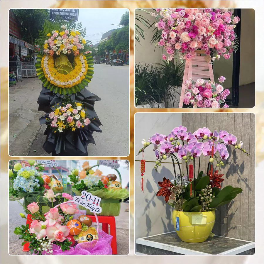 Shop Hoa Tươi Phường Sóc Trăng - Thành phố Cần Thơ