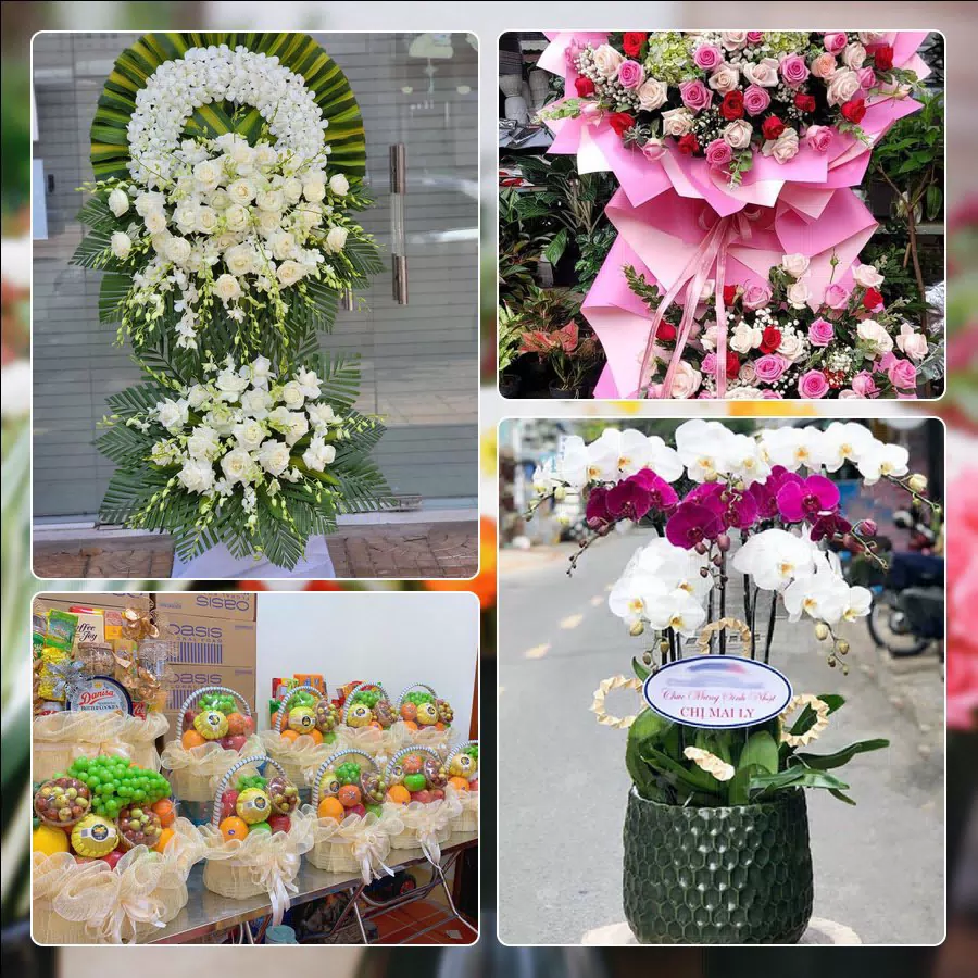 Shop Hoa Tươi Phường Vinh Hưng - Tỉnh Nghệ An