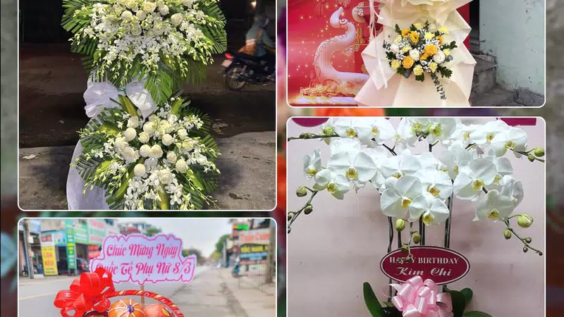 Shop Hoa Tươi Xã Phú Xuyên - Thành phố Hà Nội