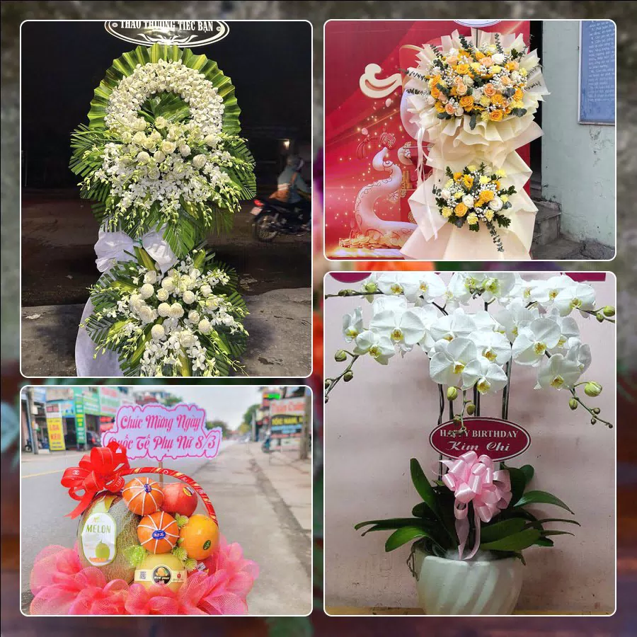 Shop Hoa Tươi Xã Phú Xuyên - Thành phố Hà Nội