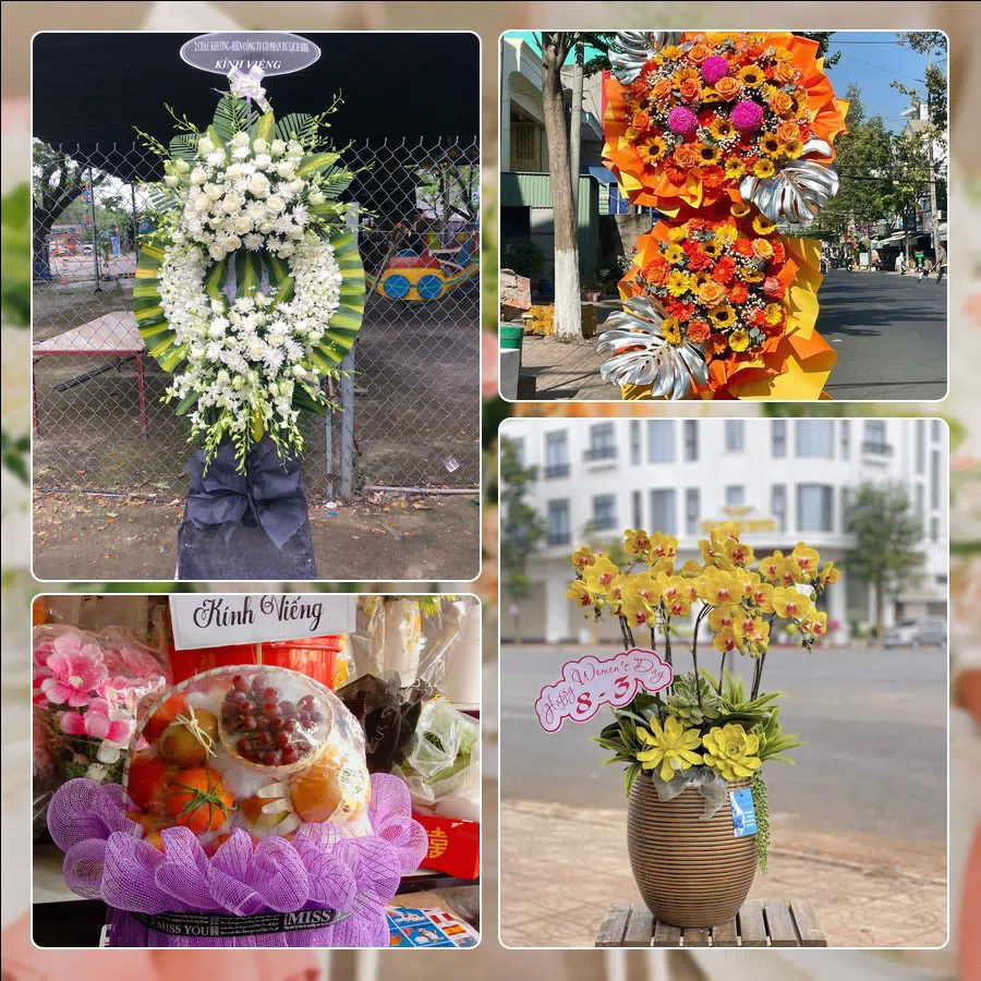 Shop Hoa Tươi Xã Sơn Đồng - Thành phố Hà Nội