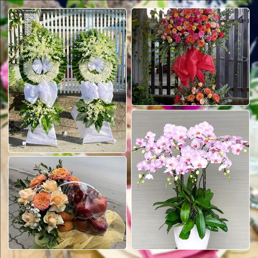 Mẫu hoa tươi ThuyHoaTuoi.Com giao tại Xã Sơn Đồng