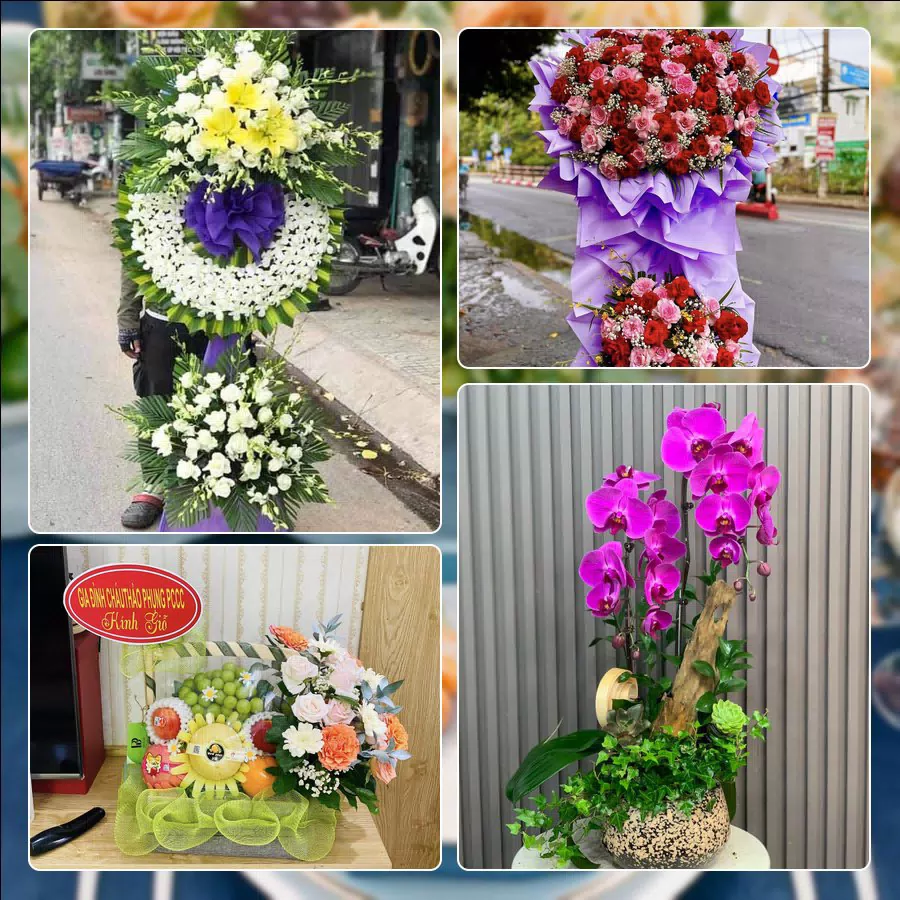 Shop Hoa Tươi Phường Hòa Bình - Thành phố Hải Phòng