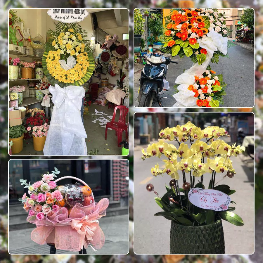 Shop Hoa Tươi Xã Thuận An - Thành phố Hà Nội