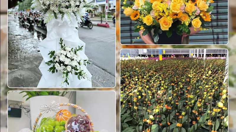 Shop Hoa Tươi Phường Yên Bái - Tỉnh Lào Cai