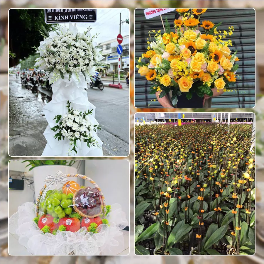 Shop Hoa Tươi Phường Yên Bái - Tỉnh Lào Cai